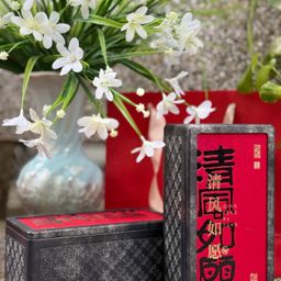 Bạch Trà Trần Bì - Song Long Hí Châu