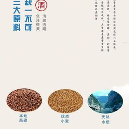 Bách Niên Hồ Đồ - Tiểu Hương Mao Đài