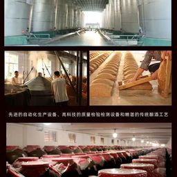 Bách Niên Hồ Đồ - Tiểu Hương Mao Đài