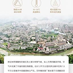 Bách Niên Hồ Đồ - Tiểu Hương Mao Đài