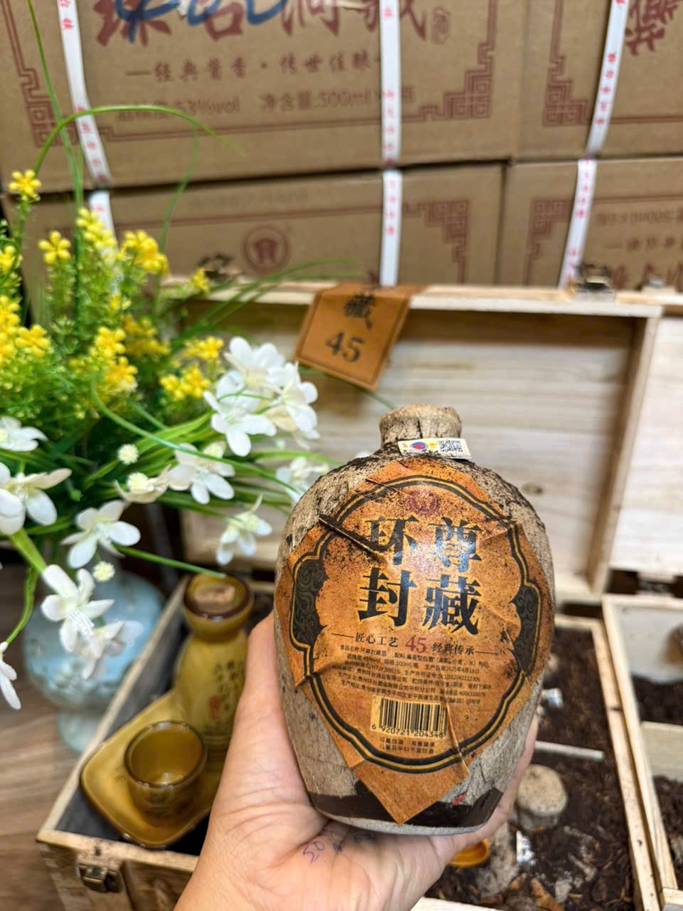 Long Đàn ủ chấu - V45 cổ điển