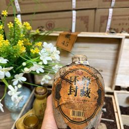 Long Đàn ủ chấu - V45 cổ điển