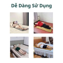 Thảm Ngải Cứu Đông Y Mộc Chi