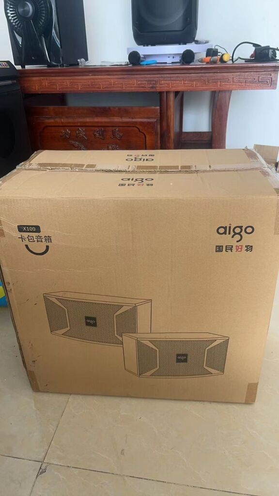 Cặp loa dàn Karaoke AIGO X109 ( 2 chiếc ) - Ảnh 2