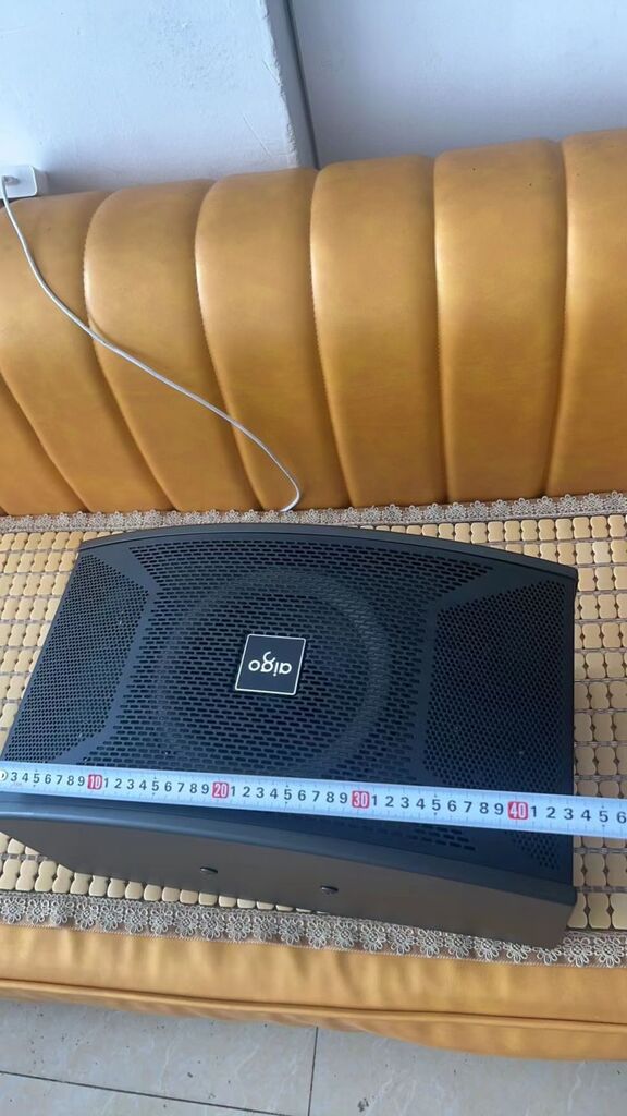 Cặp loa dàn Karaoke AIGO X109 ( 2 chiếc ) - Ảnh 3