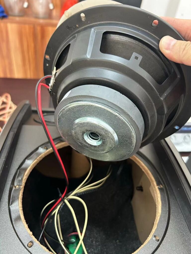 Cặp loa dàn Karaoke AIGO X109 ( 2 chiếc ) - Ảnh 6