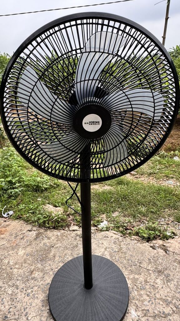 Quạt cây hãng XIDNKE ( nội địa Trung ) công suất 40W - Ảnh 2